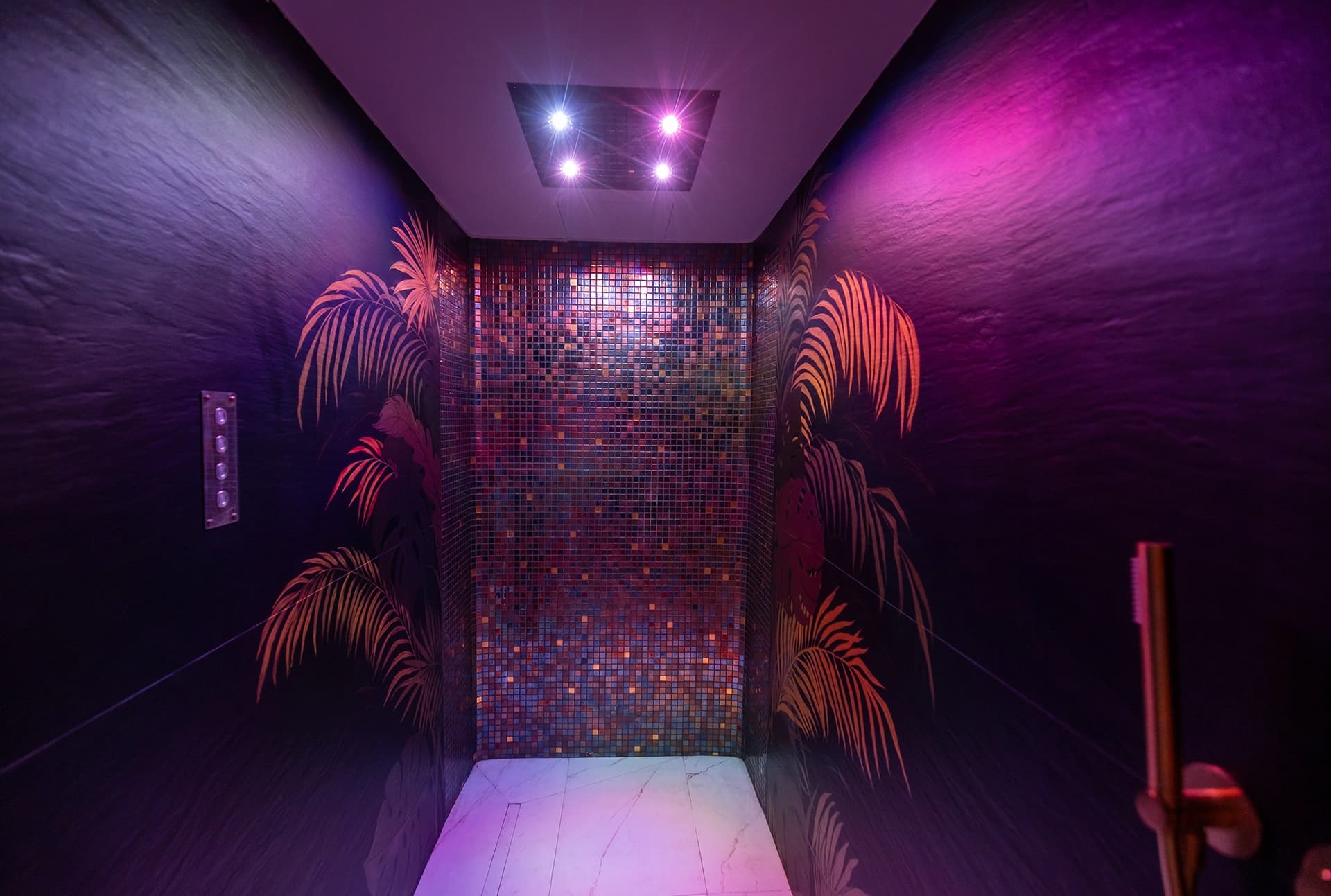 The Elements Luxury Boutique Spa – Proiect Hidrostyle în Pipera 13
